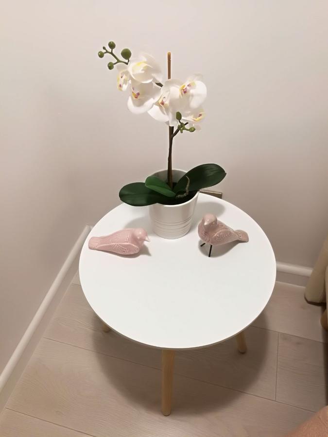 Metropole Apartments Invilla Old City 布加勒斯特 外观 照片