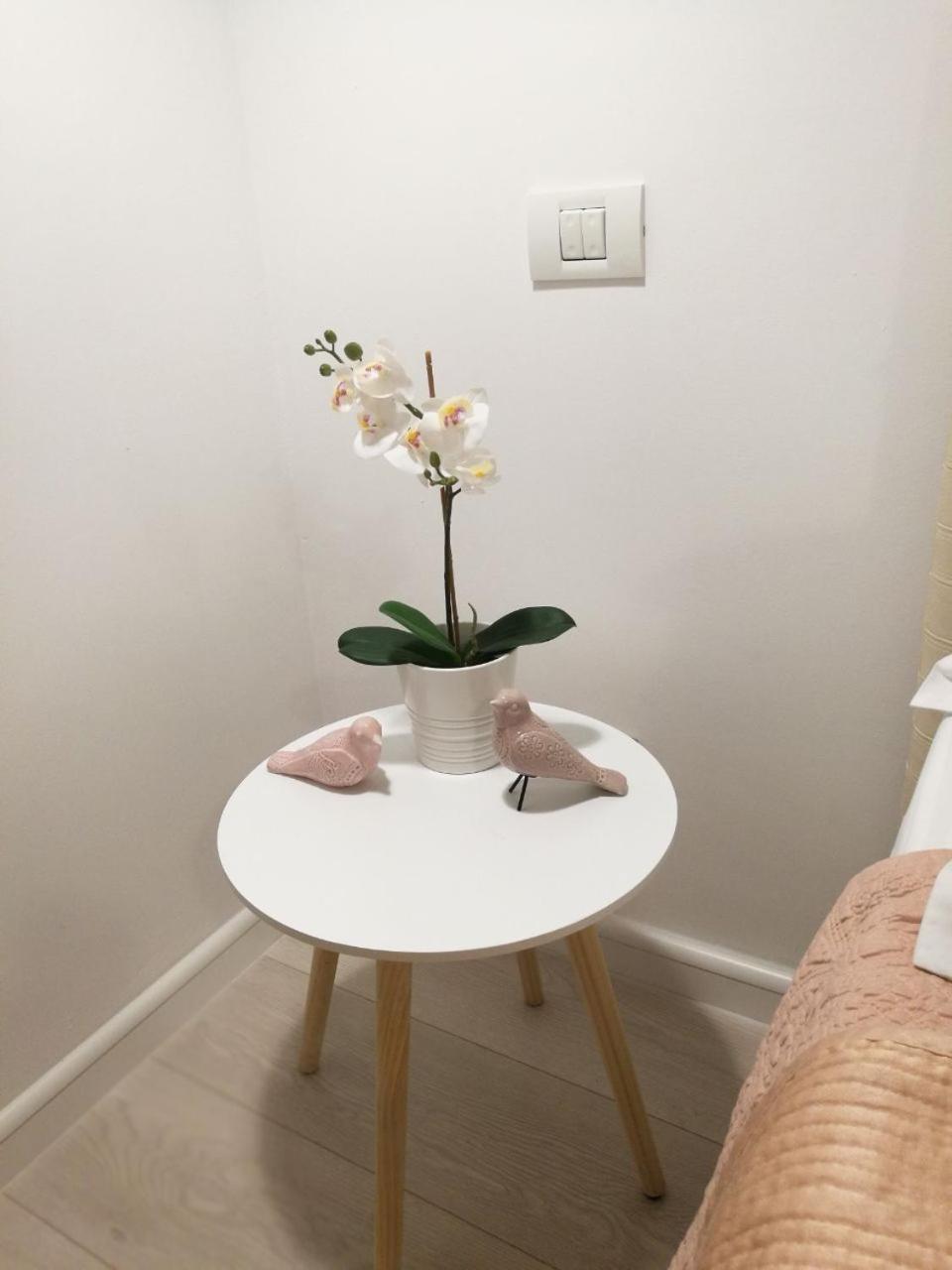 Metropole Apartments Invilla Old City 布加勒斯特 外观 照片